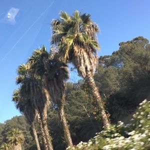 Meet your Posher, Sunnee